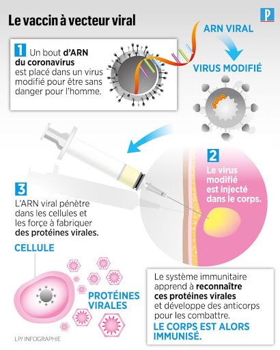 vaccin à vecteur viral