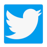 Logo Twitter