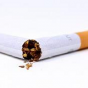 journée mondiale anti tabac - non smoking -