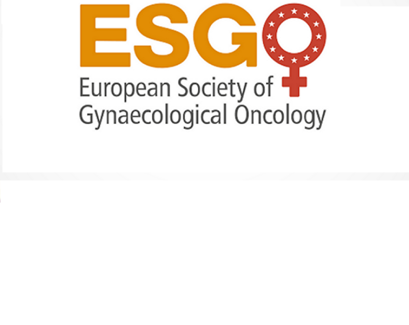 ESGQ